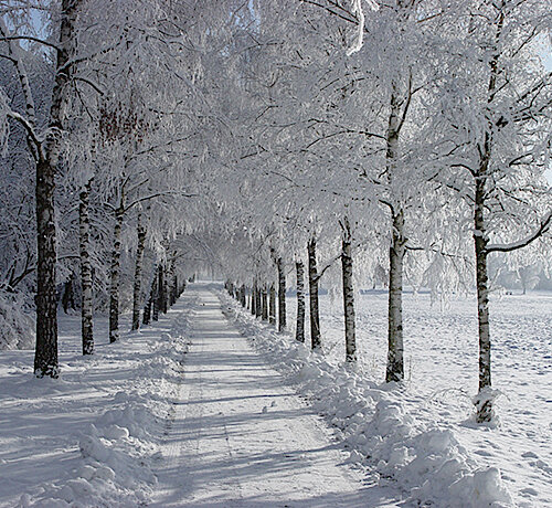 Winterdienstplan für die Puchheimer Radwege